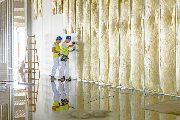 Best Eco-Friendly Insulation in Bakerstown, PA